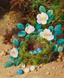 Nature morte